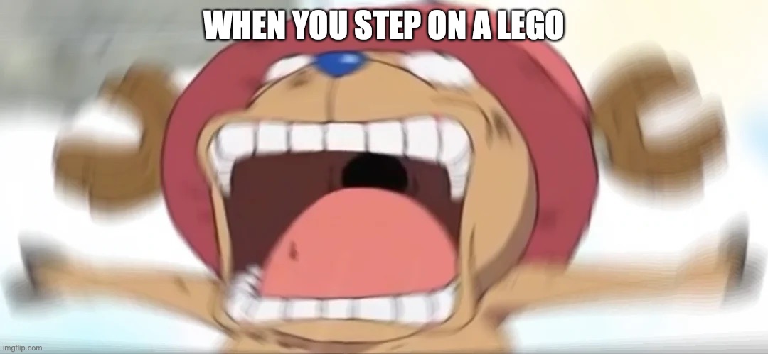 Chopper screaming | WHEN YOU STEP ON A LEGO | image tagged in chopper screaming | made w/ Imgflip meme maker