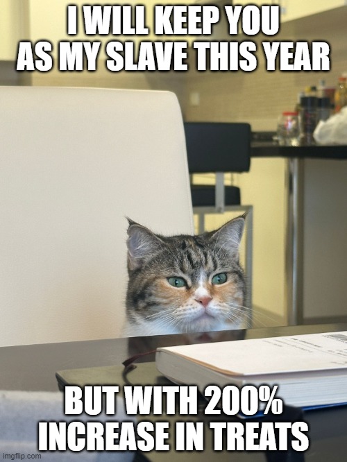 Cat Boss | I WILL KEEP YOU AS MY SLAVE THIS YEAR; BUT WITH 200% INCREASE IN TREATS | image tagged in cat,boss,boss cat,review | made w/ Imgflip meme maker