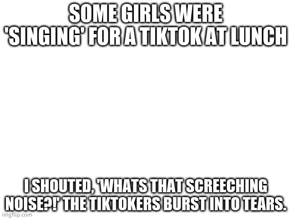 are you proud of me? | SOME GIRLS WERE 'SINGING' FOR A TIKTOK AT LUNCH; I SHOUTED, 'WHATS THAT SCREECHING NOISE?!' THE TIKTOKERS BURST INTO TEARS. | made w/ Imgflip meme maker