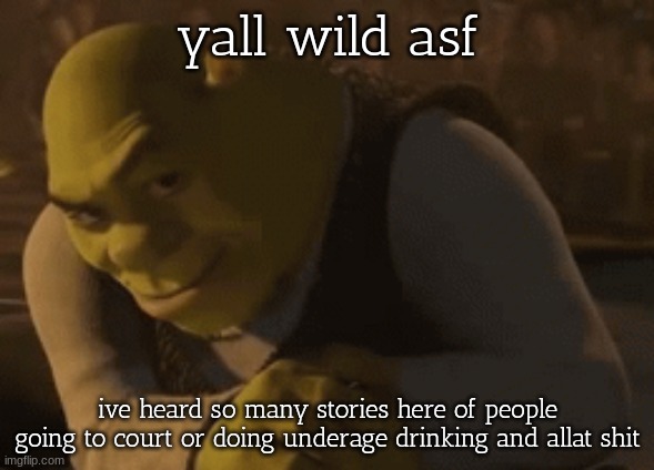 bad influences. *stays* | yall wild asf; ive heard so many stories here of people going to court or doing underage drinking and allat shit | image tagged in shrek rizz 2 | made w/ Imgflip meme maker
