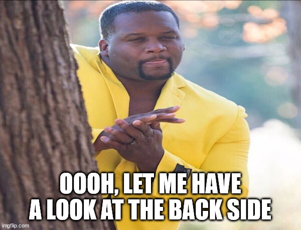Yellow jacket | OOOH, LET ME HAVE A LOOK AT THE BACK SIDE | image tagged in yellow jacket | made w/ Imgflip meme maker