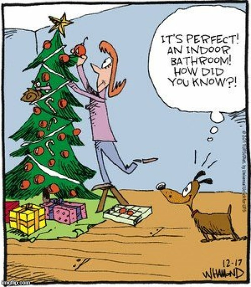 image tagged in memes,comics/cartoons,christmas tree,dogs,inside,bathroom | made w/ Imgflip meme maker