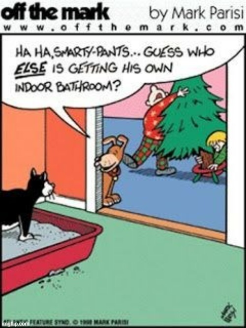 image tagged in memes,comics/cartoons,christmas tree,dogs,taunting,cats | made w/ Imgflip meme maker
