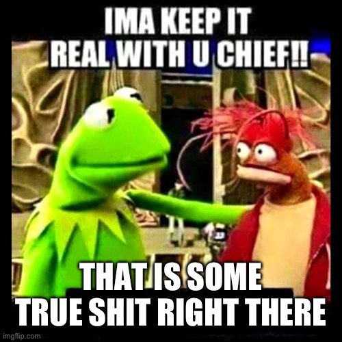 Imma Keep It Real With You Chief | THAT IS SOME TRUE SHIT RIGHT THERE | image tagged in imma keep it real with you chief | made w/ Imgflip meme maker