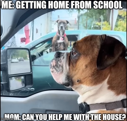 ME: GETTING HOME FROM SCHOOL; MOM: CAN YOU HELP ME WITH THE HOUSE? | made w/ Imgflip meme maker