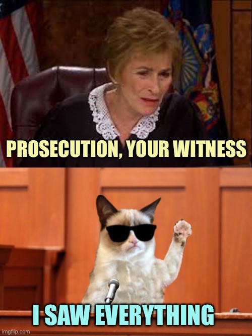 Judge Judy and The Cat | PROSECUTION, YOUR WITNESS I SAW EVERYTHING | image tagged in judge judy and the cat | made w/ Imgflip meme maker