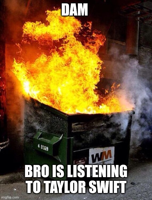 Dumpster Fire | DAM; BRO IS LISTENING TO TAYLOR SWIFT | image tagged in dumpster fire | made w/ Imgflip meme maker