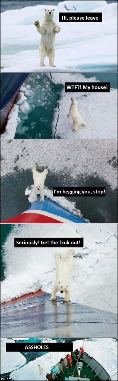 That's One Angry Polar Bear | image tagged in polar bear,angry,ice breaker,dark humour | made w/ Imgflip meme maker