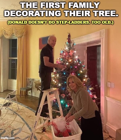 THE FIRST FAMILY 
DECORATING THEIR TREE. (DONALD DOESN'T DO STEP-LADDERS. TOO OLD.) | image tagged in joe biden,christmas tree,white house,fitness | made w/ Imgflip meme maker