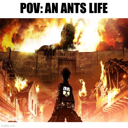 POV: AN ANTS LIFE | made w/ Imgflip meme maker