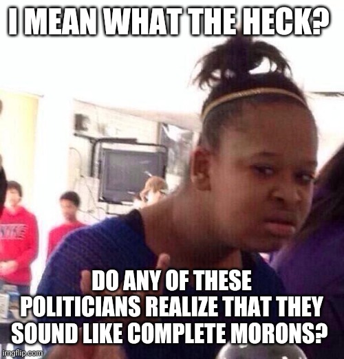 Complete Morons | I MEAN WHAT THE HECK? DO ANY OF THESE POLITICIANS REALIZE THAT THEY SOUND LIKE COMPLETE MORONS? | image tagged in memes,black girl wat,funny memes | made w/ Imgflip meme maker