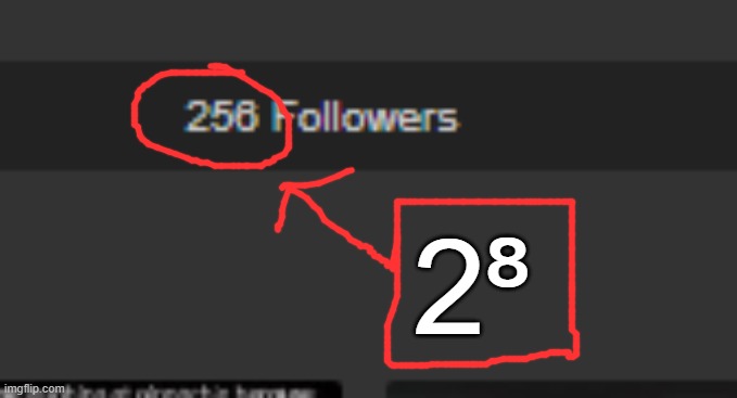 i actually inspected the follower count because 256 | 2⁸ | made w/ Imgflip meme maker
