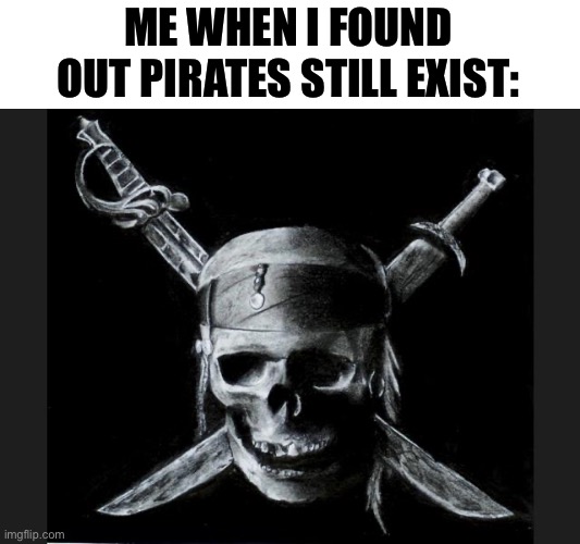 . | ME WHEN I FOUND OUT PIRATES STILL EXIST: | image tagged in pirate flag | made w/ Imgflip meme maker