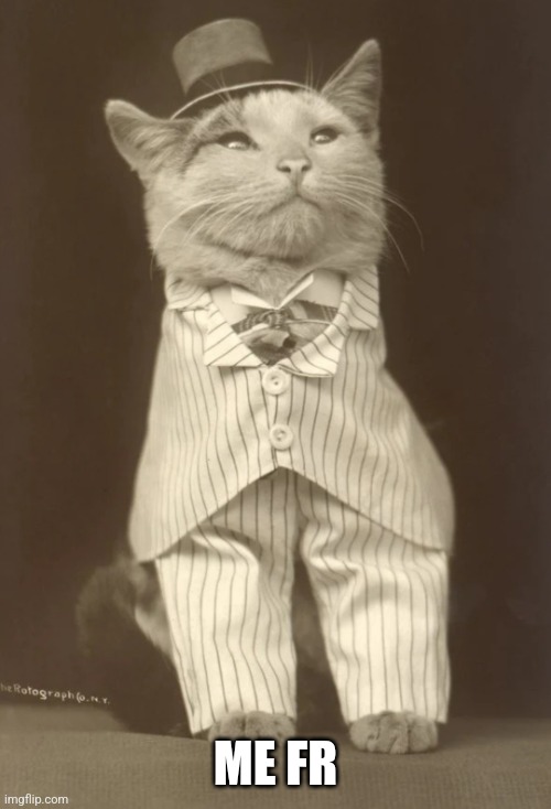 ME FR | image tagged in cat in pinstripe | made w/ Imgflip meme maker