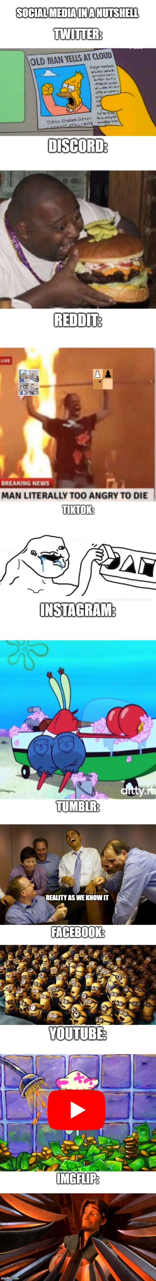 It do be like that sometimes | SOCIAL MEDIA IN A NUTSHELL | image tagged in social media,imgflip,tiktok,twitter,reddit,memes | made w/ Imgflip meme maker