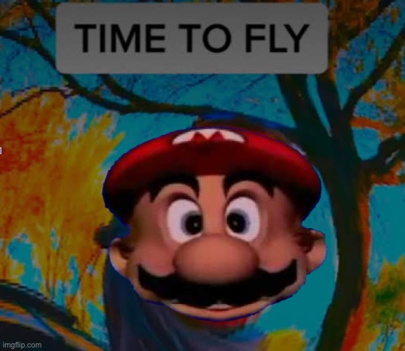 TIME TO FLY | image tagged in time to fly | made w/ Imgflip meme maker