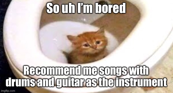 Idk if I worded this right because I’m clueless when it comes to music | So uh I’m bored; Recommend me songs with drums and guitar as the instrument | image tagged in toilet cat | made w/ Imgflip meme maker