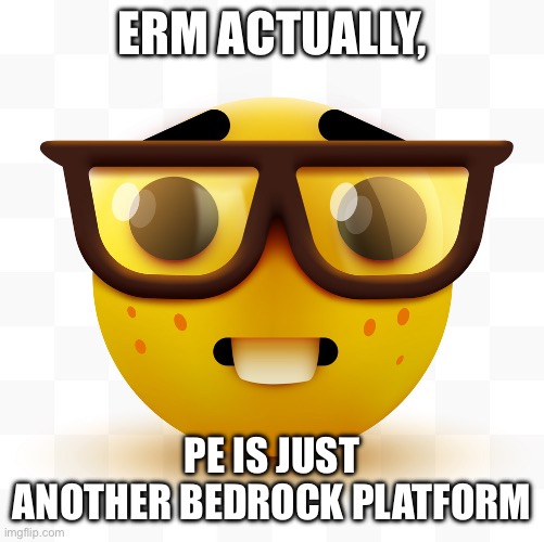 Nerd emoji | ERM ACTUALLY, PE IS JUST ANOTHER BEDROCK PLATFORM | image tagged in nerd emoji | made w/ Imgflip meme maker