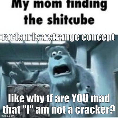 bro i did not choose my default settings | racism is a strange concept; like why tf are YOU mad that "I" am not a cracker? | image tagged in my mom finding the shitcube | made w/ Imgflip meme maker