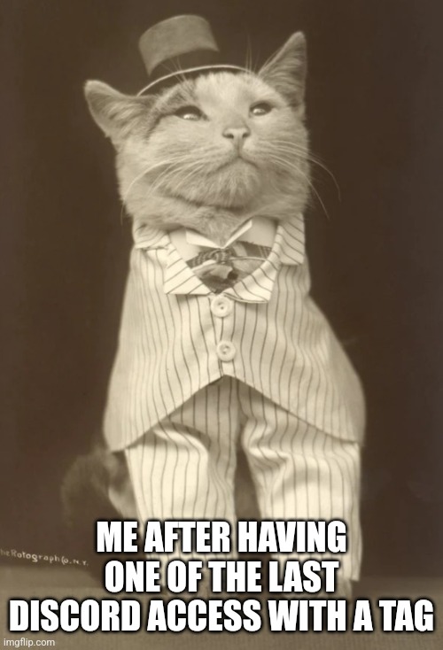 ME AFTER HAVING ONE OF THE LAST DISCORD ACCESS WITH A TAG | image tagged in cat in pinstripe | made w/ Imgflip meme maker