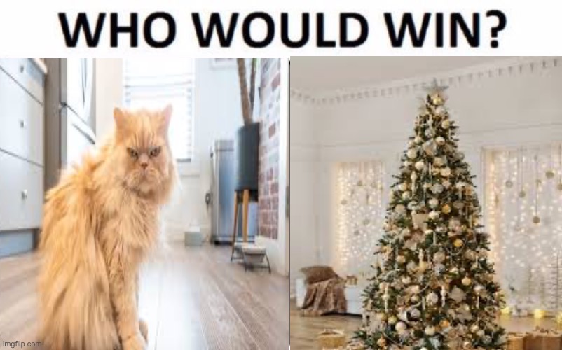 Who Would Win? Meme | image tagged in memes,who would win,cats,christmas tree | made w/ Imgflip meme maker