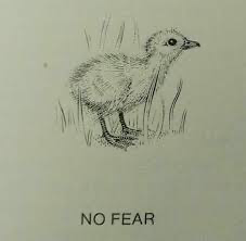 No fear Blank Meme Template