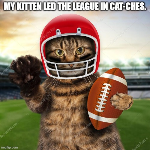 meme by Brad football cat | MY KITTEN LED THE LEAGUE IN CAT-CHES. | image tagged in cat meme | made w/ Imgflip meme maker