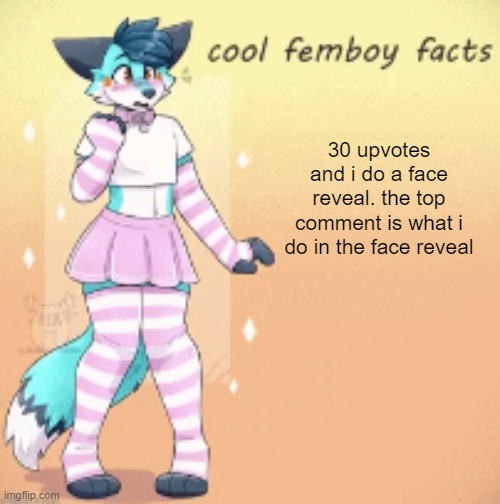 sorry for deleting the last one but i wanted to change it | 30 upvotes and i do a face reveal. the top comment is what i do in the face reveal | image tagged in cool femboy facts | made w/ Imgflip meme maker