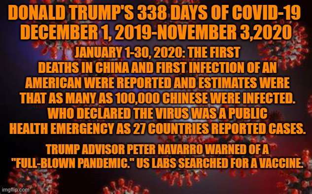 Trump stopped a briefing on COVID to ask when flavored Vapes would be OK'd for sale. | DONALD TRUMP'S 338 DAYS OF COVID-19 
DECEMBER 1, 2019-NOVEMBER 3,2020; JANUARY 1-30, 2020: THE FIRST DEATHS IN CHINA AND FIRST INFECTION OF AN AMERICAN WERE REPORTED AND ESTIMATES WERE THAT AS MANY AS 100,000 CHINESE WERE INFECTED.
WHO DECLARED THE VIRUS WAS A PUBLIC HEALTH EMERGENCY AS 27 COUNTRIES REPORTED CASES. TRUMP ADVISOR PETER NAVARRO WARNED OF A "FULL-BLOWN PANDEMIC." US LABS SEARCHED FOR A VACCINE. | image tagged in politics | made w/ Imgflip meme maker