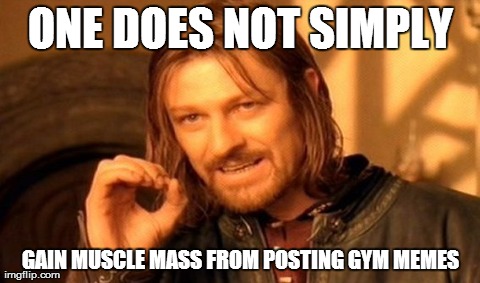 One Does Not Simply | ONE DOES NOT SIMPLY GAIN MUSCLE MASS FROM POSTING GYM MEMES | image tagged in memes,one does not simply | made w/ Imgflip meme maker