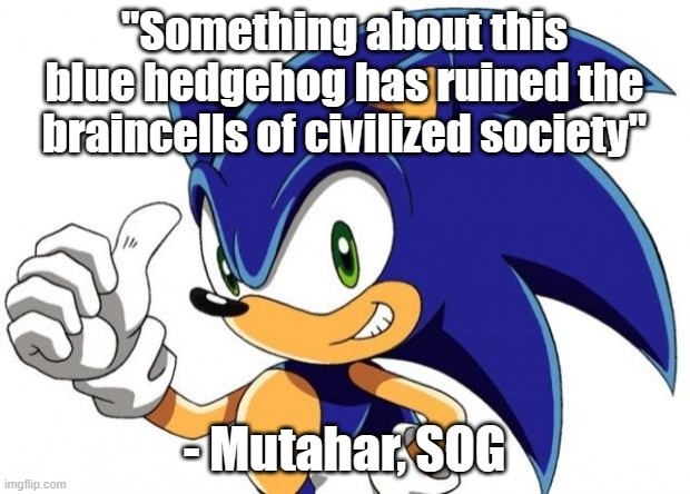 A Christmas Story | "Something about this blue hedgehog has ruined the braincells of civilized society"; - Mutahar, SOG | image tagged in sonic the hedgehog approves | made w/ Imgflip meme maker