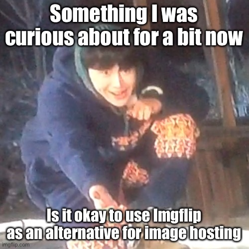 w | Something I was curious about for a bit now; Is it okay to use Imgflip as an alternative for image hosting | image tagged in w | made w/ Imgflip meme maker