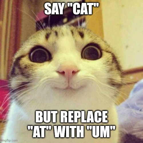 Smiling Cat Meme | SAY "CAT"; BUT REPLACE "AT" WITH "UM" | image tagged in memes,smiling cat | made w/ Imgflip meme maker