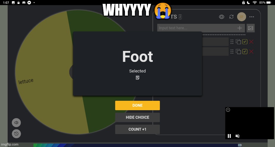 #15 burger king foot lettuce | WHYYYY 😭 | made w/ Imgflip meme maker
