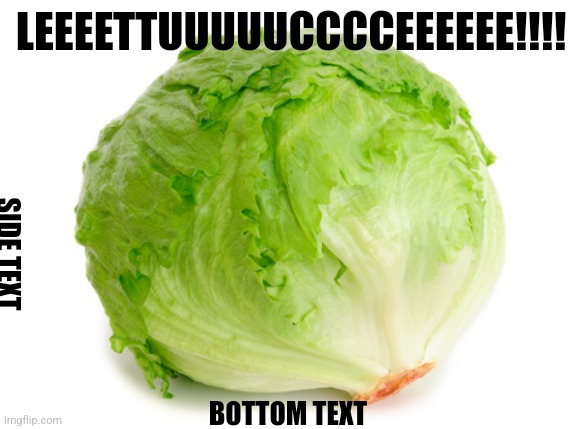 Lettuce  | LEEEETTUUUUUCCCCEEEEEE!!!! SIDE TEXT; BOTTOM TEXT | image tagged in lettuce | made w/ Imgflip meme maker