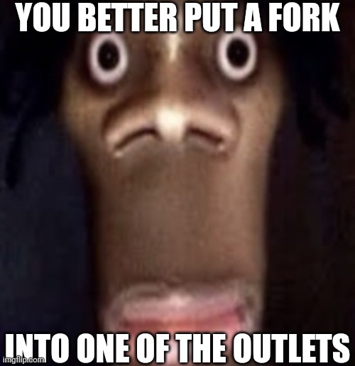 Quandale dingle | YOU BETTER PUT A FORK INTO ONE OF THE OUTLETS | image tagged in quandale dingle | made w/ Imgflip meme maker
