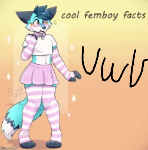 cool femboy facts | image tagged in cool femboy facts | made w/ Imgflip meme maker