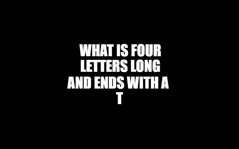 black screen | WHAT IS FOUR LETTERS LONG; AND ENDS WITH A 
T | image tagged in black screen | made w/ Imgflip meme maker