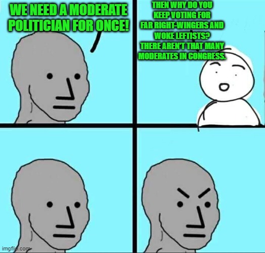 Everyone whines about lack of moderates, then friggin' vote for 'em! | THEN WHY DO YOU KEEP VOTING FOR FAR RIGHT-WINGERS AND WOKE LEFTISTS? THERE AREN'T THAT MANY MODERATES IN CONGRESS. WE NEED A MODERATE POLITICIAN FOR ONCE! | image tagged in npc meme,moderate,congress,government | made w/ Imgflip meme maker