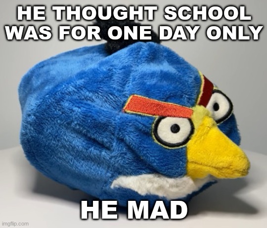 Prototype Chuck Plush | HE THOUGHT SCHOOL WAS FOR ONE DAY ONLY; HE MAD | image tagged in prototype chuck plush | made w/ Imgflip meme maker