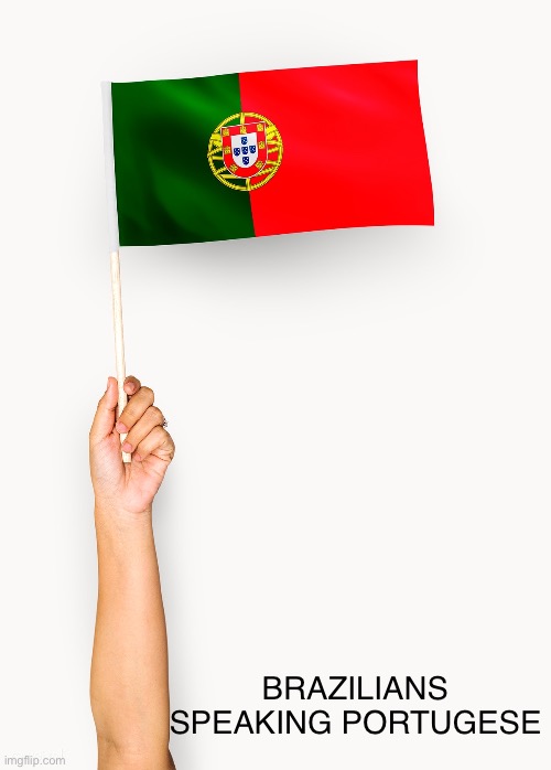 Portuguese Flag held up | BRAZILIANS SPEAKING PORTUGUESE | image tagged in portuguese flag held up | made w/ Imgflip meme maker