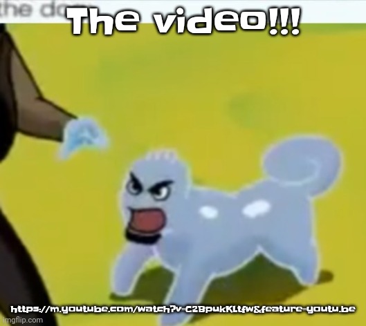 https://m.youtube.com/watch?v=C2BpukKLtfw&feature=youtu.be | The video!!! https://m.youtube.com/watch?v=C2BpukKLtfw&feature=youtu.be | image tagged in the dog | made w/ Imgflip meme maker