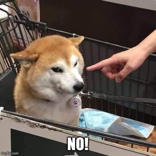No horny | NO! | image tagged in no horny | made w/ Imgflip meme maker