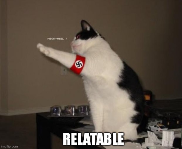 Nazi salute cat | RELATABLE | image tagged in nazi salute cat | made w/ Imgflip meme maker