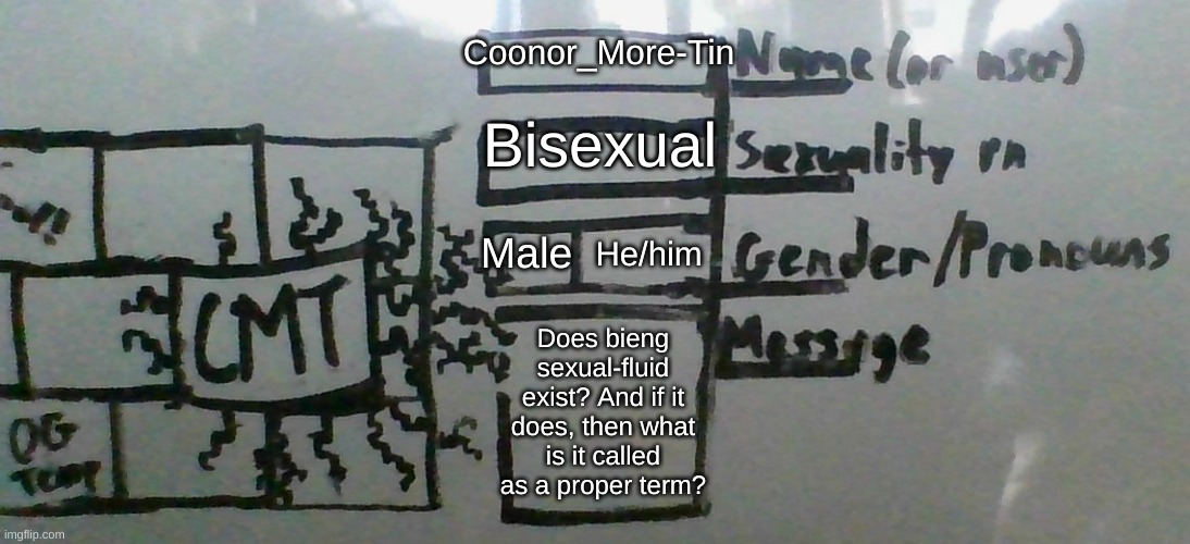 Hmm | Coonor_More-Tin; Bisexual; Male; He/him; Does bieng sexual-fluid exist? And if it does, then what is it called as a proper term? | image tagged in cmt's cool template,lgbtq | made w/ Imgflip meme maker
