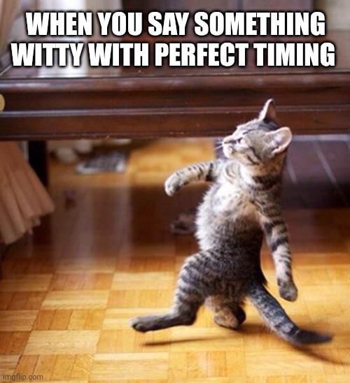 Swag cat | WHEN YOU SAY SOMETHING WITTY WITH PERFECT TIMING | image tagged in swag cat,funny,swag | made w/ Imgflip meme maker