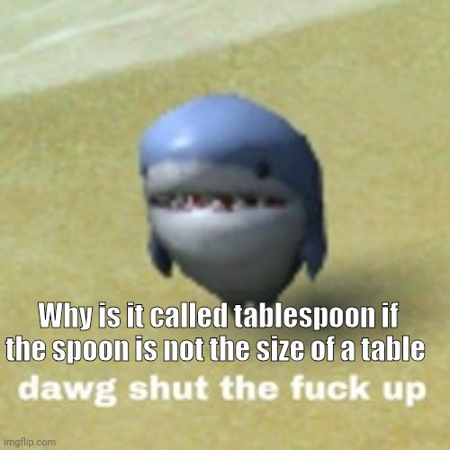 dawg stfu | Why is it called tablespoon if the spoon is not the size of a table | image tagged in dawg stfu | made w/ Imgflip meme maker