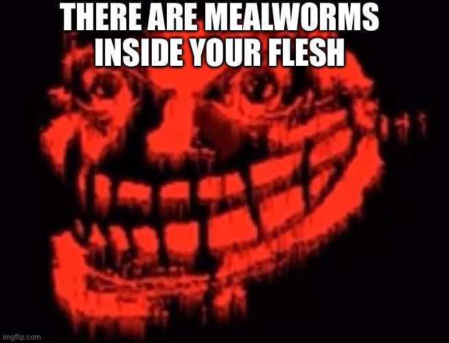 mealworms | THERE ARE MEALWORMS INSIDE YOUR FLESH | image tagged in troll face,troll,creepy,trollge | made w/ Imgflip meme maker