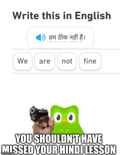 YOU SHOULDN'T HAVE MISSED YOUR HINDI LESSON | image tagged in duolingo gun,duolingo,duolingo bird,funny,funny memes | made w/ Imgflip meme maker