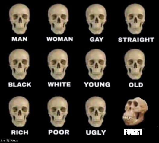 idiot skull | FURRY | image tagged in idiot skull | made w/ Imgflip meme maker